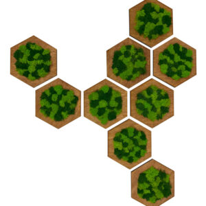 Zestaw paneli dekoracyjnych heksagony 9 szt. HEXA MOSS WALL