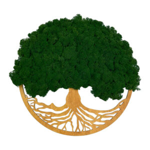 Drzewo życia z mchem chrobotkowym TREE MOSS LIFE ciemnozielony