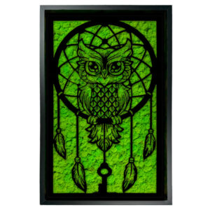 Obraz OWLDREAM MOSS sowa łapacz snów z mchem chrobotkowym w eleganckiej ramie