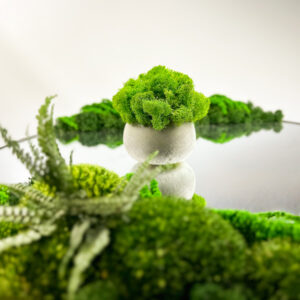 Doniczka z betonu architektonicznego z mchem chrobotkowym SMOOTH MOSS SOLO