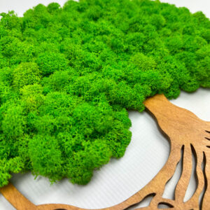 Drzewo życia z mchem chrobotkowym TREE MOSS LIFE jasnozielony