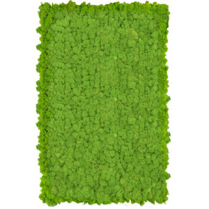 Panel z mchu chrobotkowego PREMIUM 100 cm x 50 cm jasny zielony