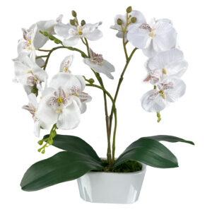 STORCZYK BIAŁY W DONICZCE CERAMICZNEJ 36 cm