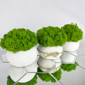 Zestaw doniczek z białego betonu z mchem chrobotkowym SMOOTH TRIO MOSS WHITE