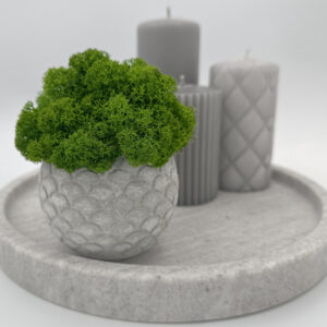 MOSS POT FISHY – Doniczka z mchem  chrobotkiem 12 cm