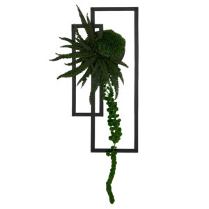 Dekoracja ścienna z mchu i roślin stabilizowanych 55 cm