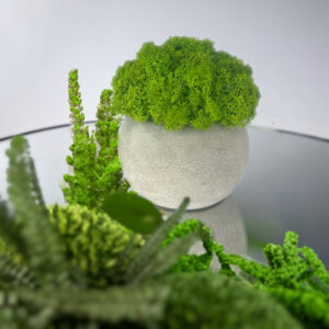 Doniczka SMOOTH MOSS VIVA 12 cm z betonu architektonicznego z mchem chrobotkowym jasnozielonym