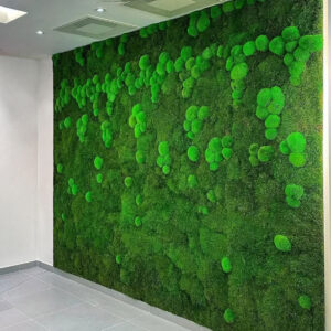 Panel z mchu płaskiego i poduszkowego 75 cm x 50 cm ciemny zielony