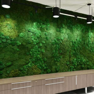 Panel z mchu płaskiego i poduszkowego PREMIUM 25 cm x 25 cm ciemny zielony
