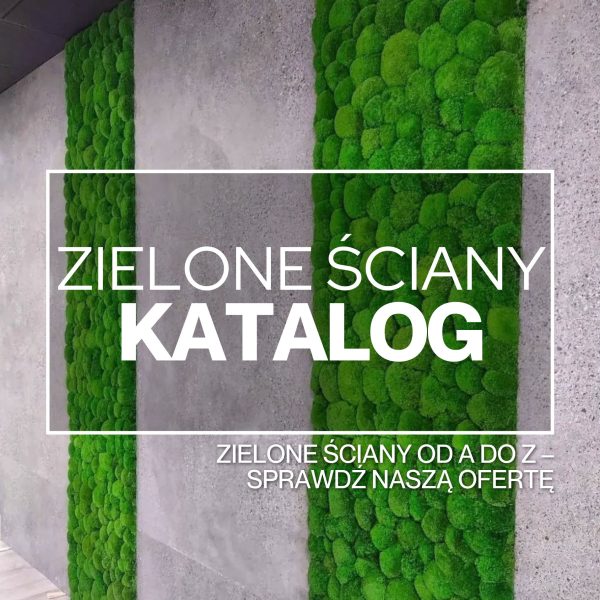Katalog - 1